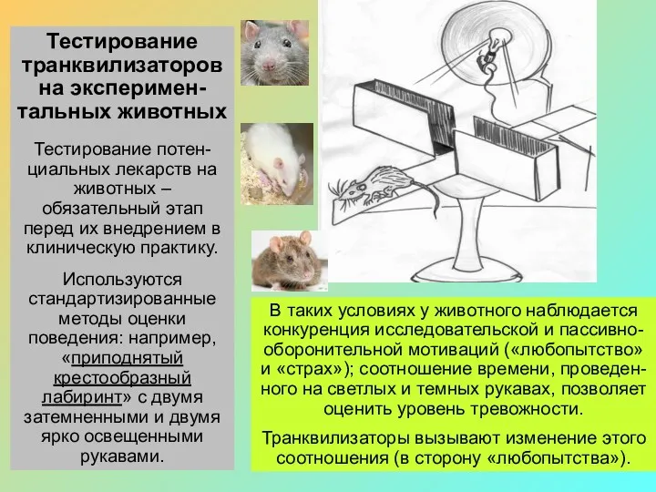 Тестирование транквилизаторов на эксперимен-тальных животных Тестирование потен-циальных лекарств на животных
