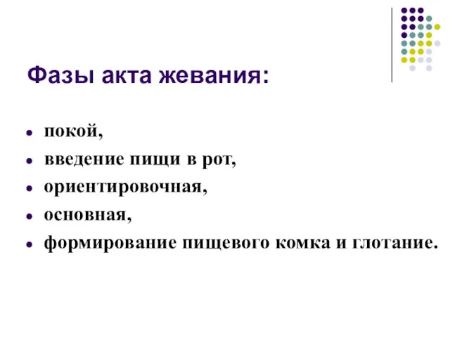 Фазы акта жевания: покой, введение пищи в рот, ориентировочная, основная, формирование пищевого комка и глотание.