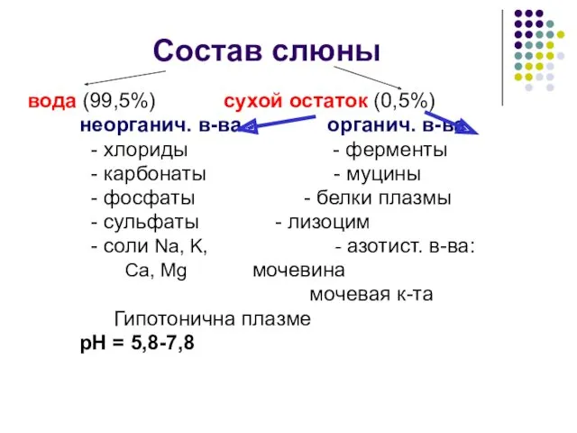 Состав слюны вода (99,5%) сухой остаток (0,5%) неорганич. в-ва органич.