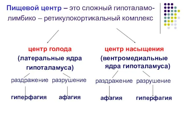 Пищевой центр – это сложный гипоталамо-лимбико – ретикулокортикальный комплекс центр