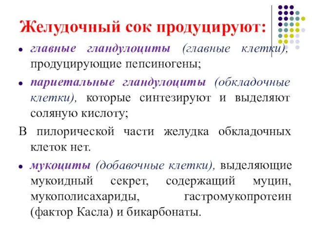 Желудочный сок продуцируют: главные гландулоциты (главные клетки), продуцирующие пепсиногены; париетальные