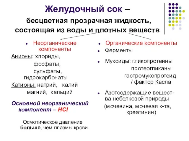 Желудочный сок – бесцветная прозрачная жидкость, состоящая из воды и