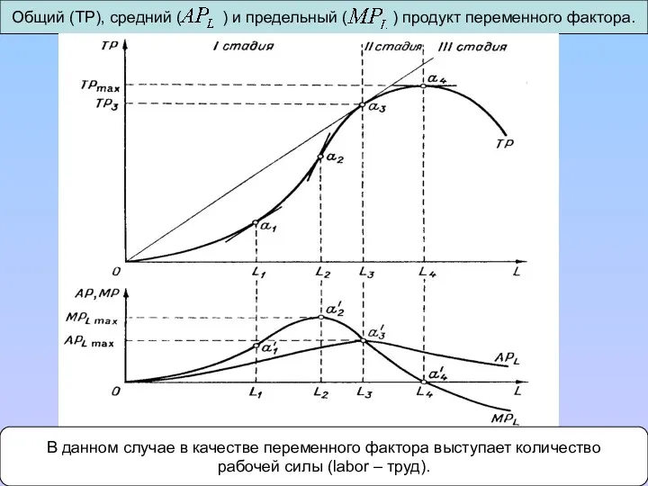 В данном случае в качестве переменного фактора выступает количество рабочей силы (labor – труд).