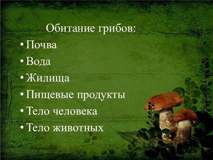 Обитание грибов: Почва Вода Жилища Пищевые продукты Тело человека Тело животных