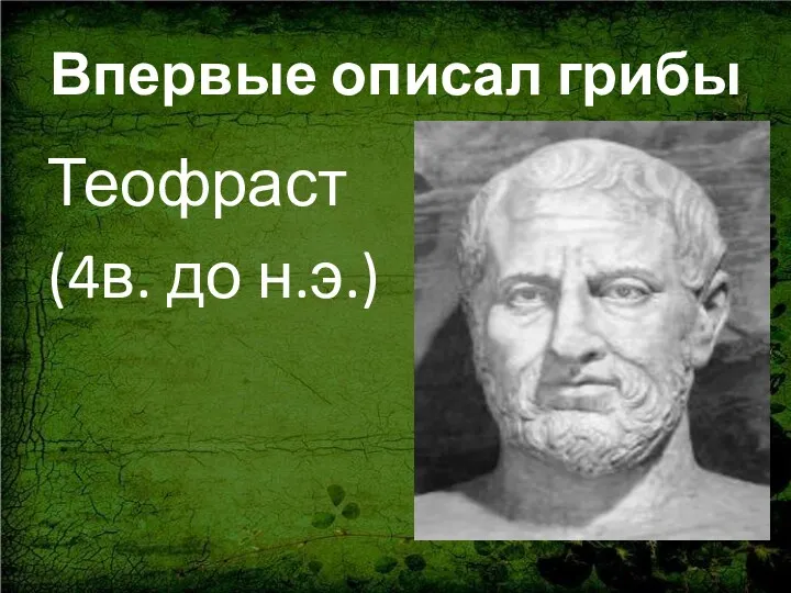 Впервые описал грибы Теофраст (4в. до н.э.)