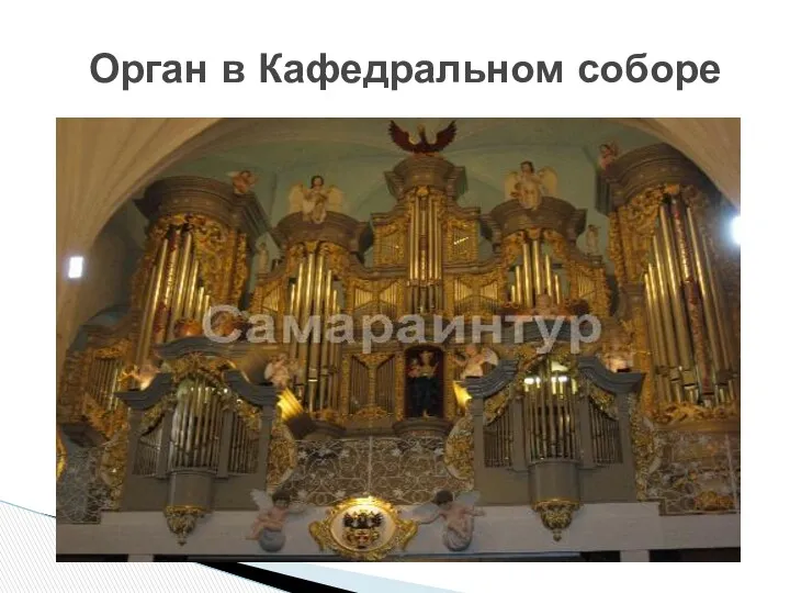 Орган в Кафедральном соборе