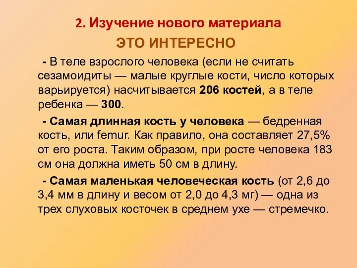 - В теле взрослого человека (если не считать сезамоидиты — малые круглые кости,