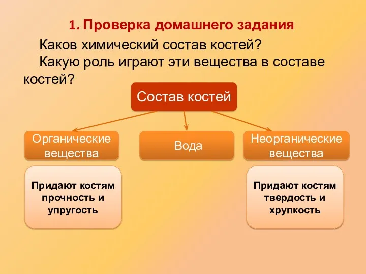 Каков химический состав костей? Какую роль играют эти вещества в составе костей? Состав