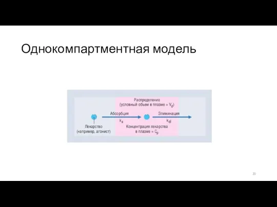 Однокомпартментная модель