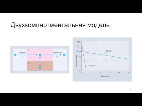 Двухкомпартментальная модель