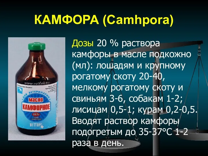 КАМФОРА (Camhpora) Дозы 20 % раствора камфоры в масле подкожно