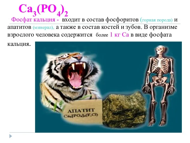 Ca3(PO4)2 Фосфат кальция - входит в состав фосфоритов (горная порода)