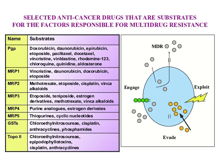 SELECTED ANTI-CANCER DRUGS THAT ARE SUBSTRATES FOR THE FACTORS RESPONSIBLE FOR MULTIDRUG RESISTANCE