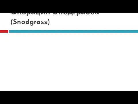 Операция Снодграсса (Snodgrass)