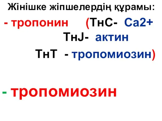 Жінішке жіпшелердің құрамы: тропонин (ТнС- Са2+ ТнJ- актин ТнТ - тропомиозин) - тропомиозин