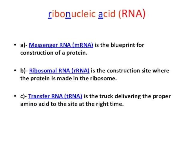 ribonucleic acid (RNA) a)- Messenger RNA (mRNA) is the blueprint