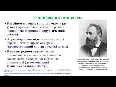 Топография пищевода В шейном и начале грудного отдела (до уровня