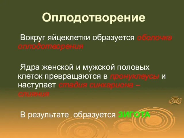 Оплодотворение Вокруг яйцеклетки образуется оболочка оплодотворения Ядра женской и мужской