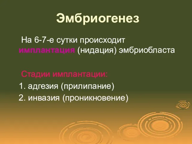 Эмбриогенез На 6-7-е сутки происходит имплантация (нидация) эмбриобласта Стадии имплантации: 1. адгезия (прилипание) 2. инвазия (проникновение)