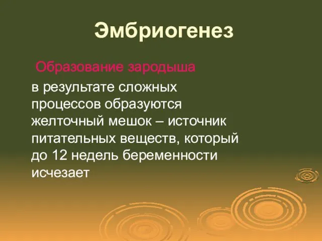 Эмбриогенез Образование зародыша в результате сложных процессов образуются желточный мешок