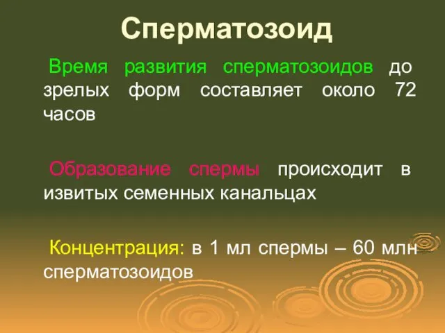 Сперматозоид Время развития сперматозоидов до зрелых форм составляет около 72