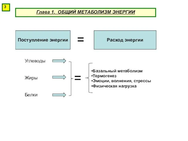 Глава 1. ОБЩИЙ МЕТАБОЛИЗМ ЭНЕРГИИ Поступление энергии Расход энергии Углеводы