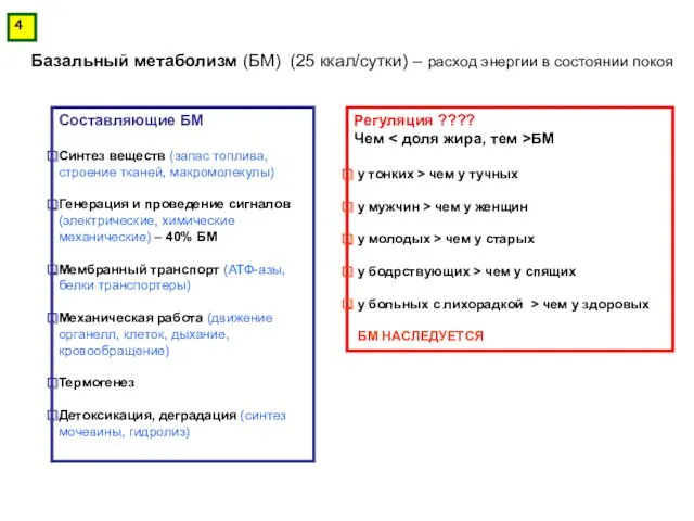 Базальный метаболизм (БМ) (25 ккал/сутки) – расход энергии в состоянии