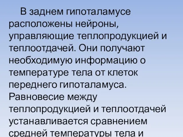 В заднем гипоталамусе расположены нейроны, управляющие теплопродукцией и теплоотдачей. Они