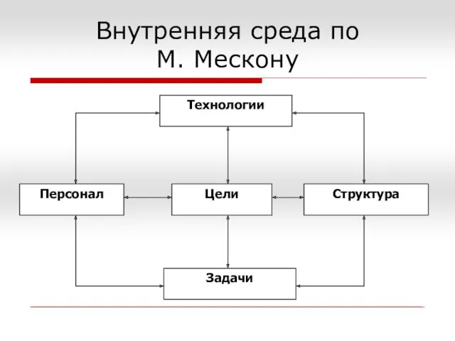 Внутренняя среда по М. Мескону