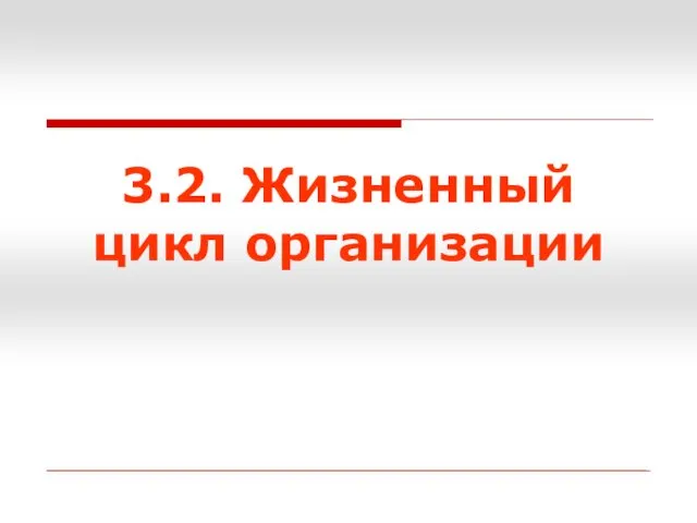 3.2. Жизненный цикл организации