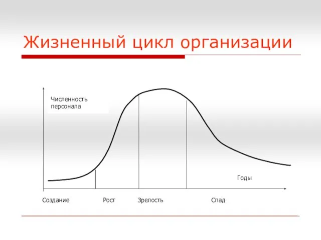 Жизненный цикл организации