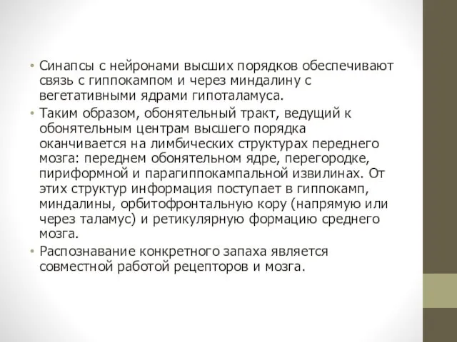 Синапсы с нейронами высших порядков обеспечивают связь с гиппокампом и