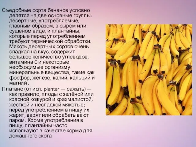 Съедобные сорта бананов условно делятся на две основные группы: десертные,