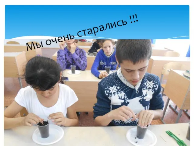 Мы очень старались !!!