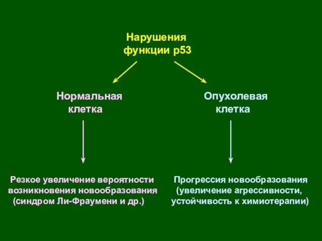 Нарушения функции р53 Нормальная клетка Опухолевая клетка Резкое увеличение вероятности