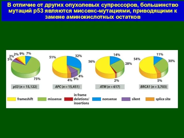 В отличие от других опухолевых супрессоров, большинство мутаций р53 являются миссенс-мутациями, приводящими к замене аминокислотных остатков