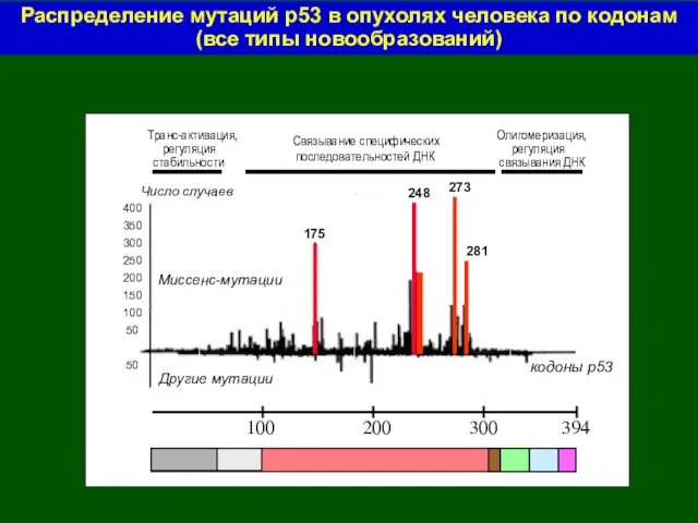 Распределение мутаций р53 в опухолях человека по кодонам (все типы