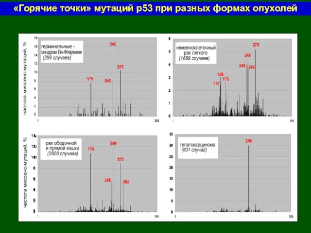 «Горячие точки» мутаций р53 при разных формах опухолей