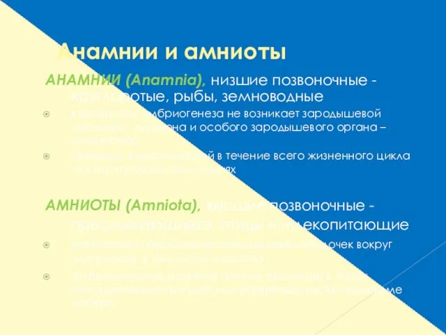 Анамнии и амниоты АНАМНИИ (Anamnia), низшие позвоночные - круглоротые, рыбы,