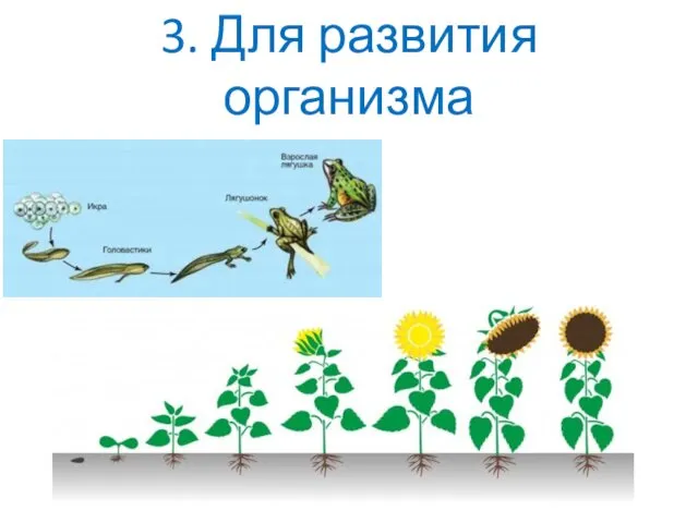 3. Для развития организма