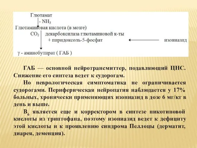 ГАБ — основной нейротрансмиттер, подавляющий ЦНС. Снижение его синтеза ведет