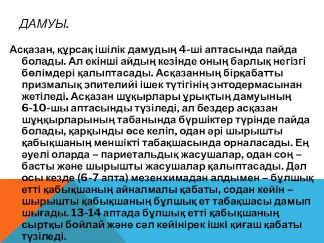 ДАМУЫ. Асқазан, құрсақ ішілік дамудың 4-ші аптасында пайда болады. Ал екінші айдың кезінде