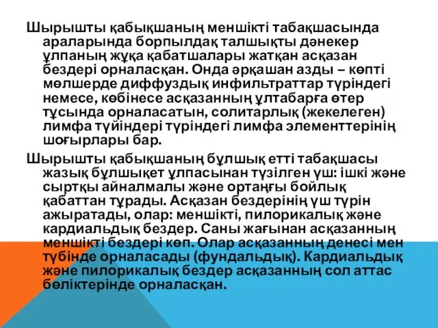 Шырышты қабықшаның меншікті табақшасында араларында борпылдақ талшықты дәнекер ұлпаның жұқа қабатшалары жатқан асқазан