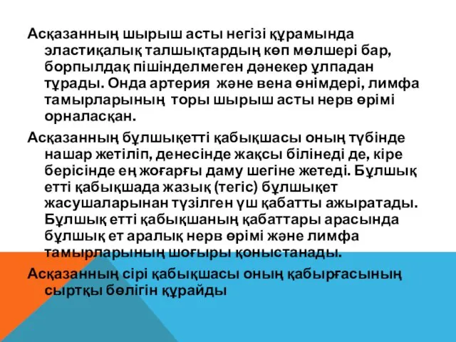 Асқазанның шырыш асты негізі құрамында эластиқалық талшықтардың көп мөлшері бар,