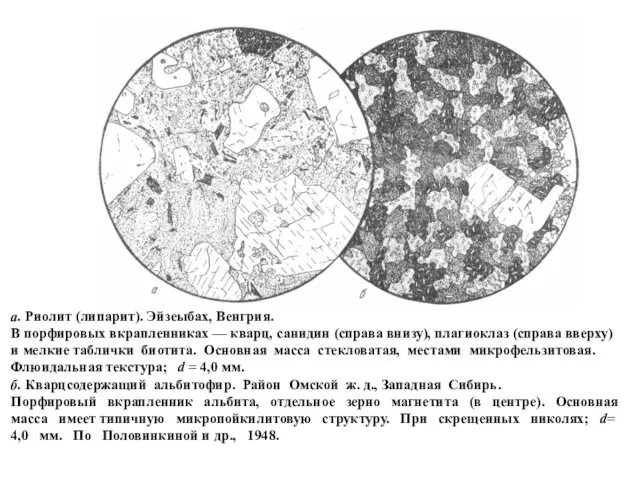 а. Риолит (липарит). Эйзеыбах, Венгрия. В порфировых вкрапленниках — кварц,