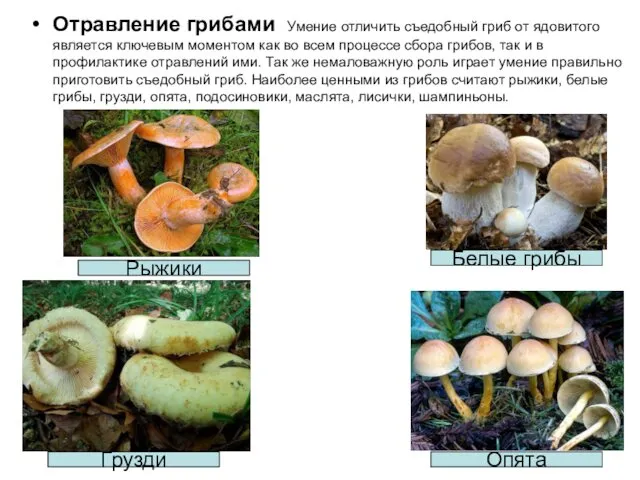 Отравление грибами Умение отличить съедобный гриб от ядовитого является ключевым моментом как во