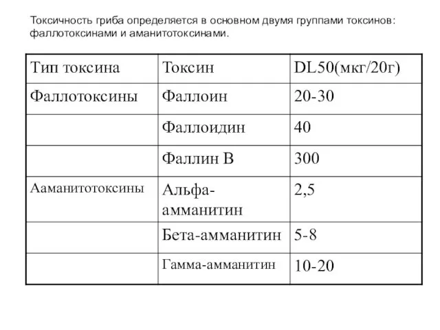 Токсичность гриба определяется в основном двумя группами токсинов: фаллотоксинами и аманитотоксинами.