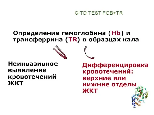 CITO TEST FOB+TR Определение гемоглобина (Hb) и трансферрина (TR) в образцах кала Неинвазивное