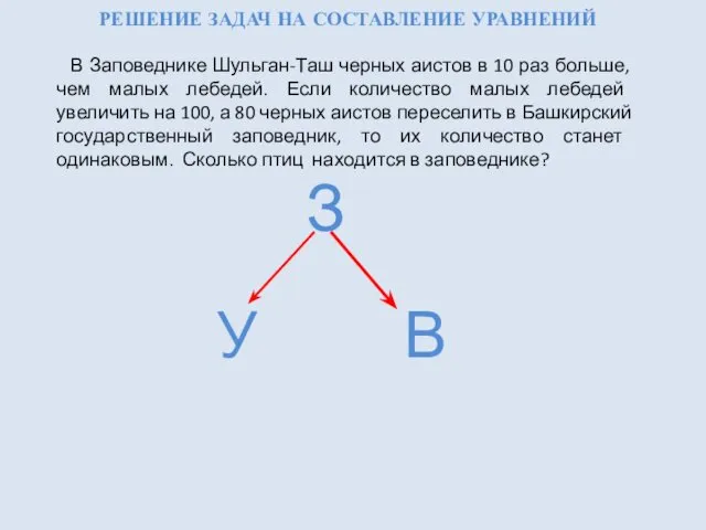 РЕШЕНИЕ ЗАДАЧ НА СОСТАВЛЕНИЕ УРАВНЕНИЙ В Заповеднике Шульган-Таш черных аистов