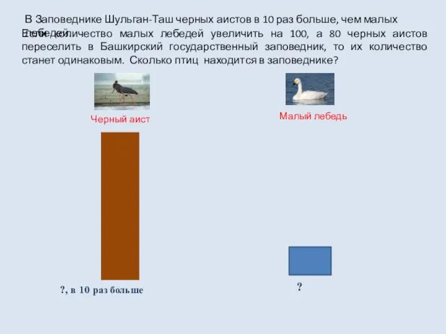 ? ?, в 10 раз больше Черный аист Малый лебедь